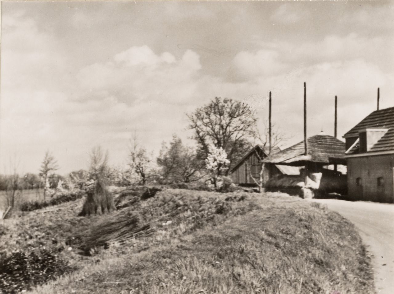 Landweg bij Gellicum