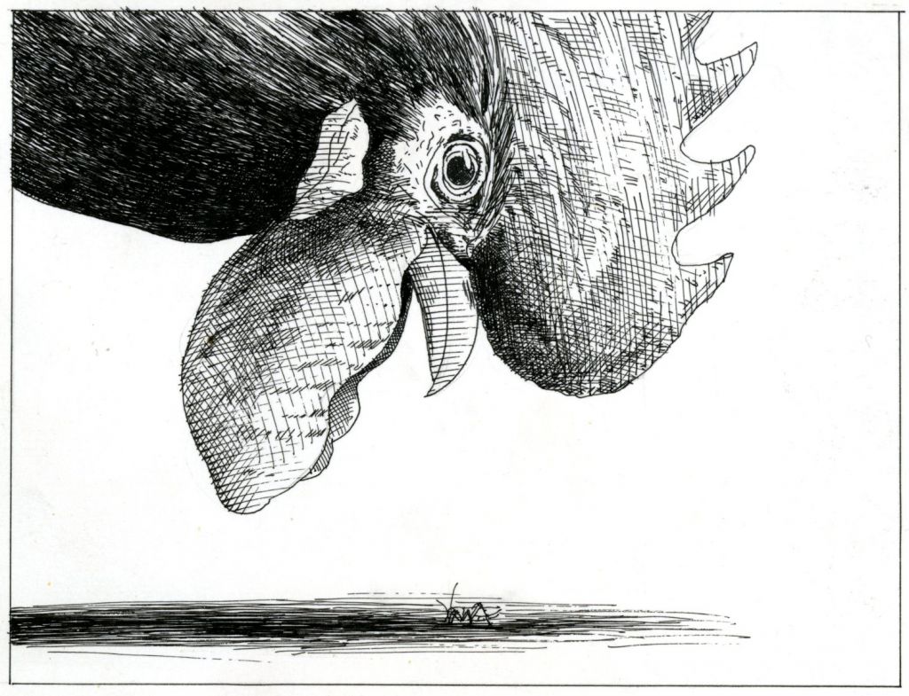 Uit <i>Een krekel voor de keizer</i>, Gerard Brands. Querido (1980)