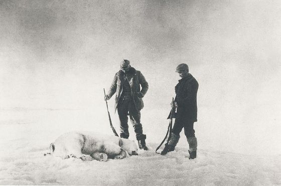 Op ijsberenjacht op Spitsbergen