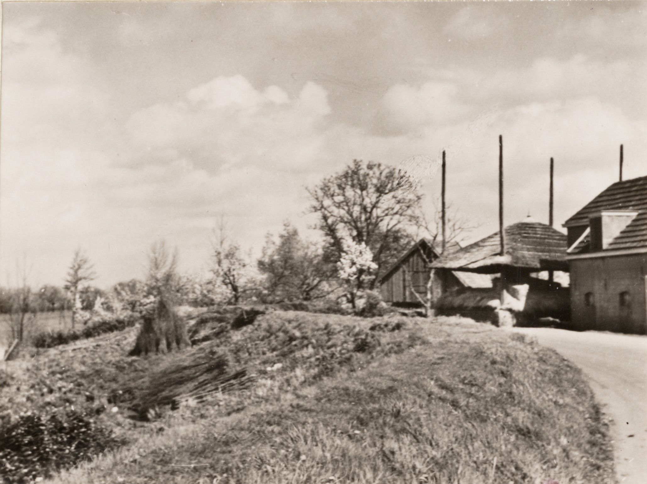 Landweg bij Gellicum