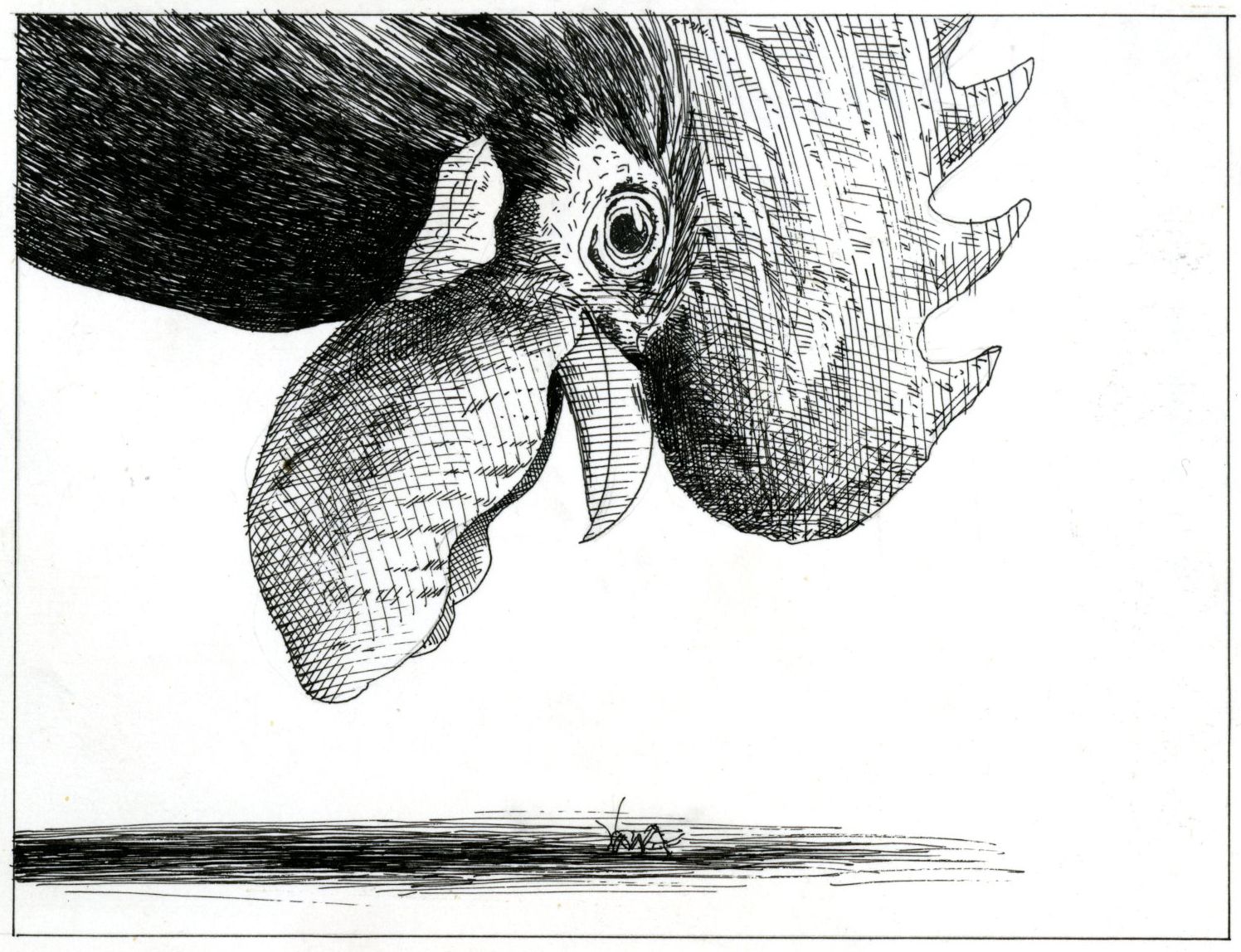 Uit <i>Een krekel voor de keizer</i>, Gerard Brands. Querido (1980)