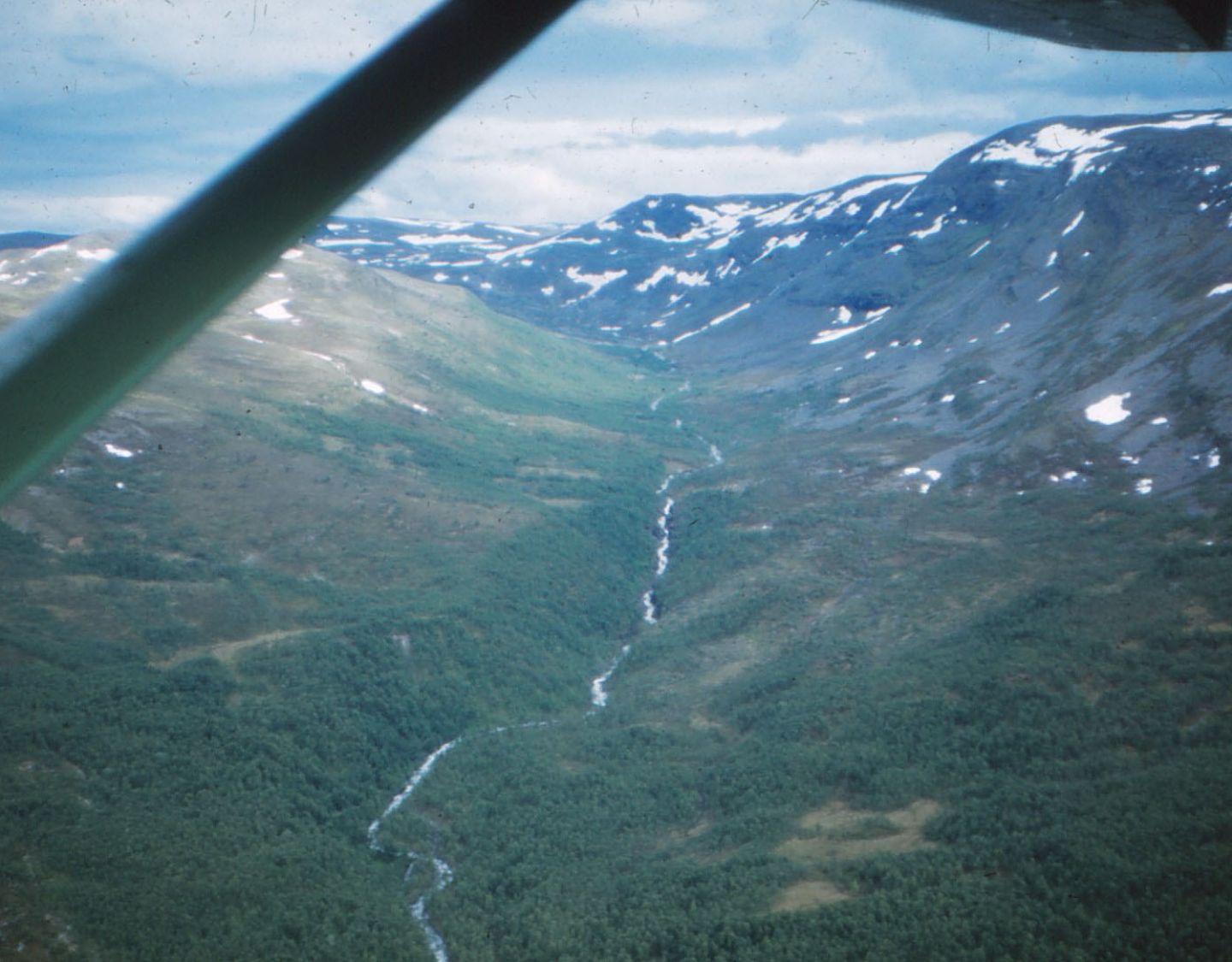 899 (10) Trogdal